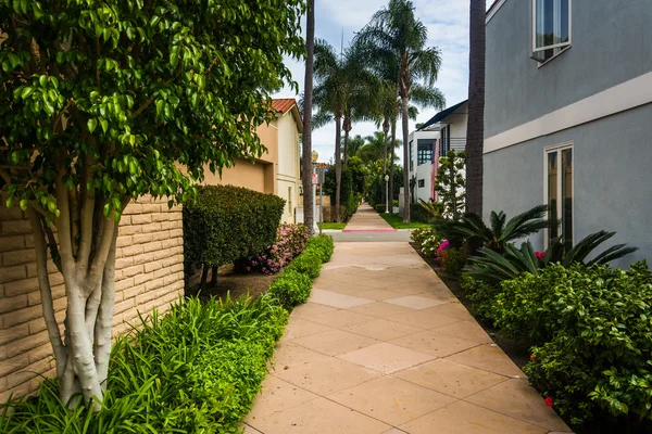 Gardens and houses along walkway, on Lido Isle, in Newport Beach — Stock Photo, Image