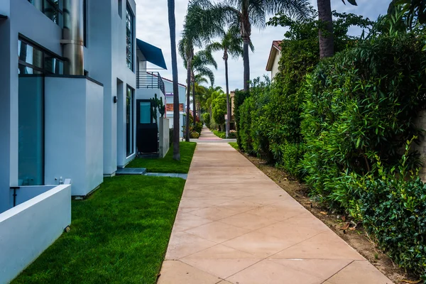 Gardens and houses along walkway, on Lido Isle, in Newport Beach — Stock Photo, Image