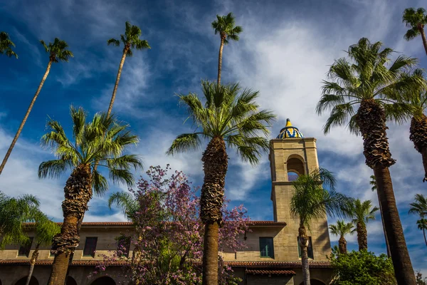 Palm trees and the Riverside Municipal Auditorium, in downtown R — Stock Photo, Image