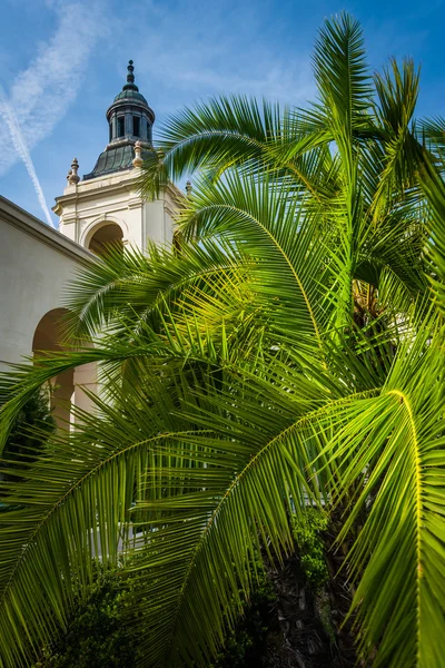 Palmboom en het stadhuis, in Pasadena, Californië. — Stockfoto