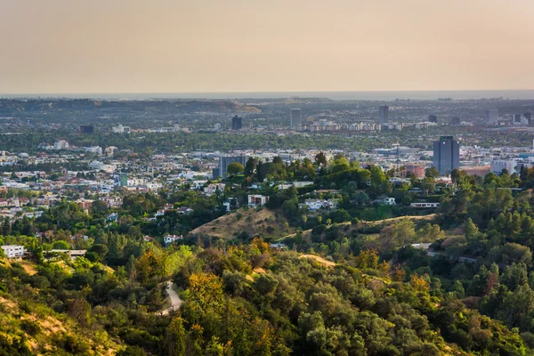 View of trails in Griffith Park and Hollywood from Griffith Obse — Stock Photo, Image