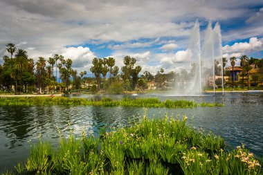 Otlar ve Echo Park Lake, Los Angeles, Califo bir çeşme