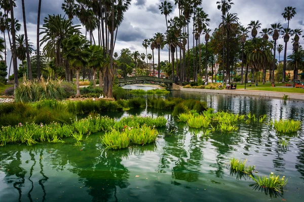 Grasses and a bridge over Echo Park Lake, in Los Angeles, Califo — Stock Photo, Image