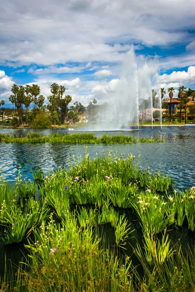 Grasses and a fountain in Echo Park Lake, in Los Angeles, Califo — Stock Photo, Image