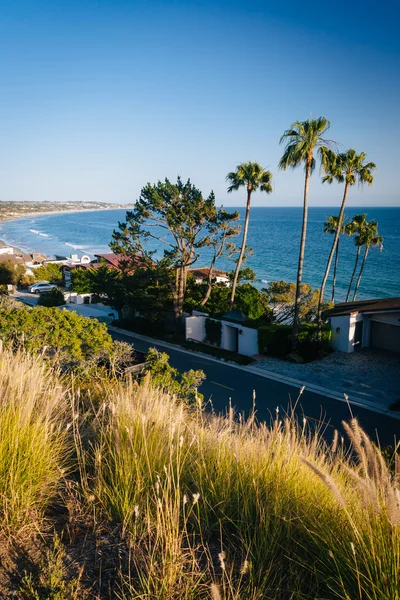 Grasses and view of houses along the Pacific Ocean, in Malibu, C — Stock Photo, Image