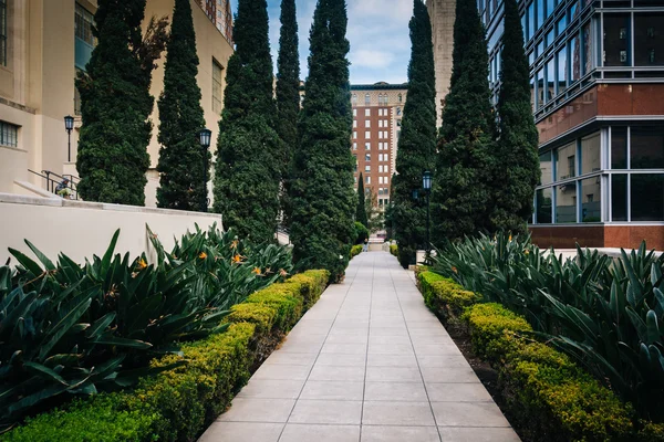 Giardini lungo una passerella a Maguire Gardens, nel centro di Los Ange — Foto Stock
