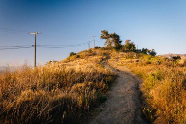 Ventura, Kaliforniya'da Grant Park'ta iz.
