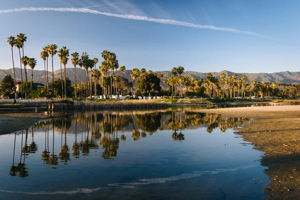 Palm trees reflecting in Mission Creek, in Santa Barbara, Califo — Stock Photo, Image