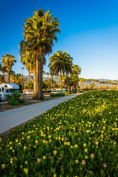 Flores e palmeiras ao longo de uma ciclovia em Santa Barbara, Califórnia — Fotografia de Stock