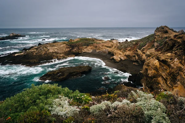 Weergave van een cove op punt Lobos staat Natural Reserve, in Carmel, — Stockfoto