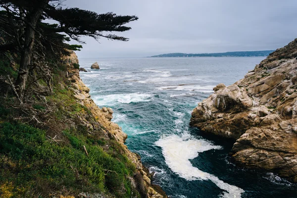 Vista de uma enseada na Reserva Natural do Estado de Point Lobos, no Carmel , — Fotografia de Stock