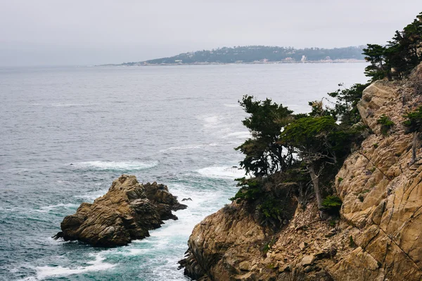 Nézd a sziklák kilátással a Csendes-óceán, a Point Lobos Sta — Stock Fotó