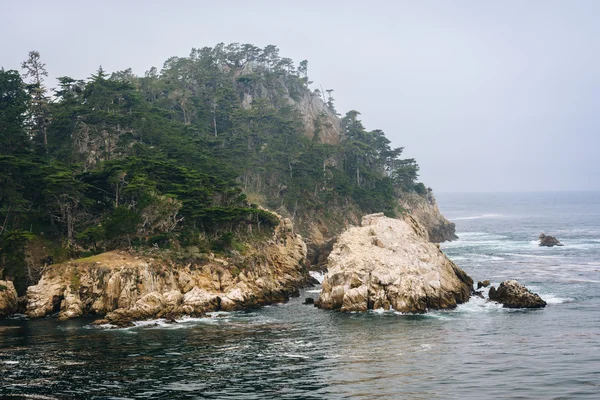 Veduta delle scogliere rocciose e dell'Oceano Pacifico, a Point Lobos State — Foto Stock