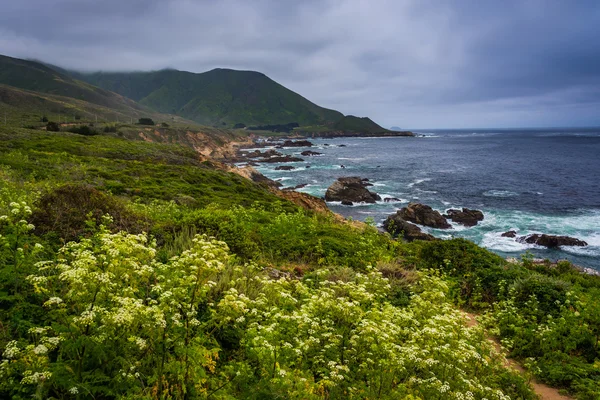 Widok na Ocean Spokojny i góry w Garrapata stanie Par — Zdjęcie stockowe