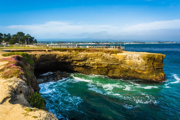 Santa Cruz, California Pasifik Okyanusu boyunca kayalıklarla. — Stok fotoğraf