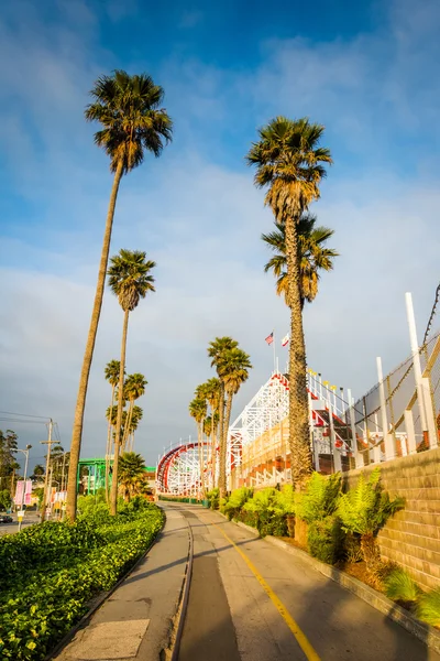 Palm bomen en rijdt langs een loopbrug in Santa Cruz, Californië. — Stockfoto