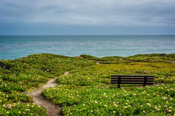 Path and bench on a bluff above the Pacific Ocean, in Santa Cruz — Stock Photo, Image