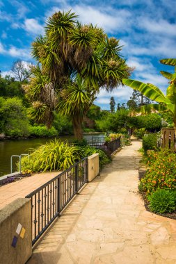 Capitola, Kaliforniya'da Soquel dere boyunca yürüyüş.