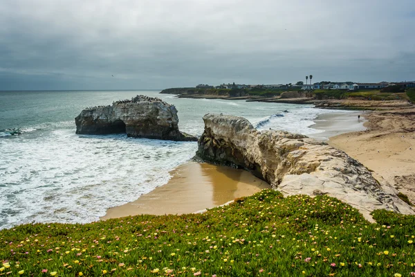 Weergave van natuurlijke bruggen staat Beach, in Santa Cruz, Californië. — Stockfoto