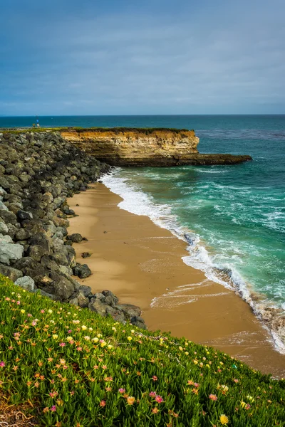 Bir küçük koy beach Santa Cruz, California görünümünü. — Stok fotoğraf