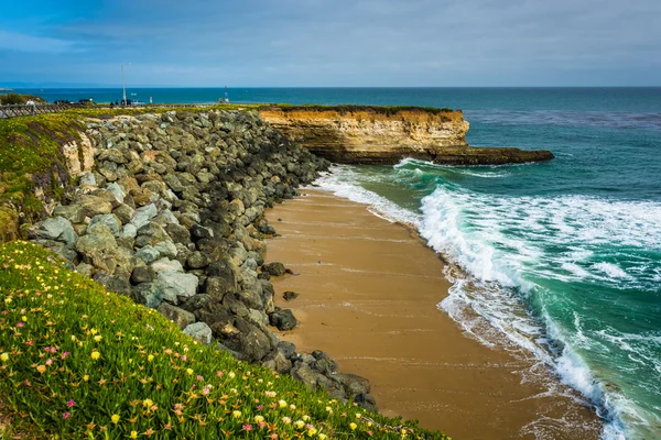 Bir küçük koy beach Santa Cruz, California görünümünü. — Stok fotoğraf