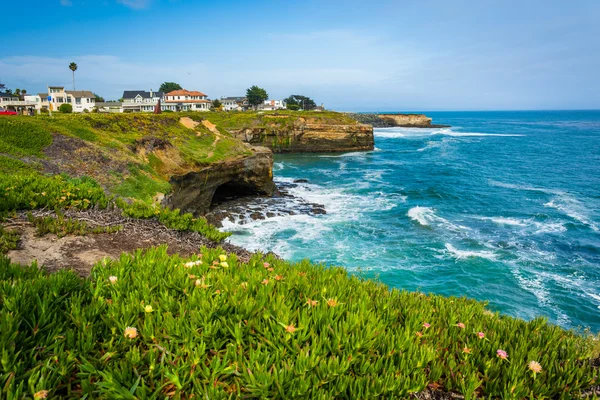 Utsikt över klipporna längs Stilla havet, i Santa Cruz, Californi — Stockfoto