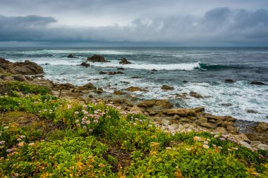 Çiçekler ve kayalık Pacific Coast, 17 Mi gördün görünümünü