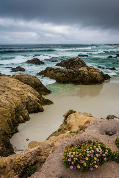 Uitzicht op een strand, gezien vanaf de 17 mijl rijden, in Pebble Beach, C — Stockfoto