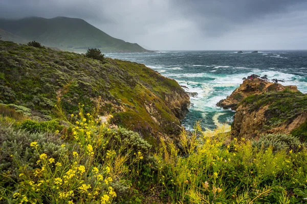 Flores amarillas y vista del Océano Pacífico en el estado de Garrapata —  Fotos de Stock