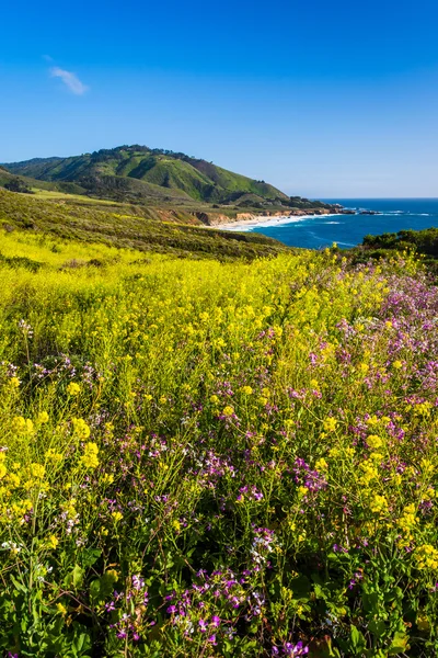 Bloemen en uitzicht op de Stille Oceaan kust bij Garrapata State Park, C — Stockfoto