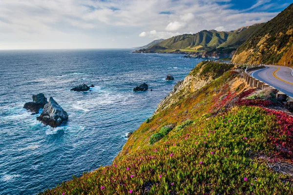 Vista da Pacific Ocean and Pacific Coast Highway, em Big Sur , — Fotografia de Stock