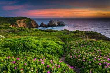 Çiçekler ve günbatımı, Gol, Rodeo Beach yukarıda bir uçurumda iz