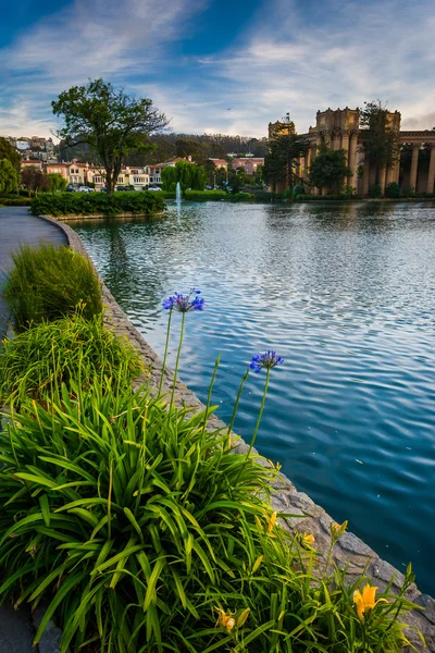 Flowers along the lake at Palace of Fine Arts Theater, in San Fr — Stock Photo, Image