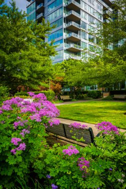 Bahçe ve limanda Portland, Oregon, modern bina