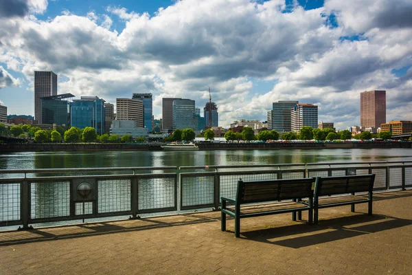 Скамейка и вид на горизонт с Eastbank Esplanade, в По — стоковое фото