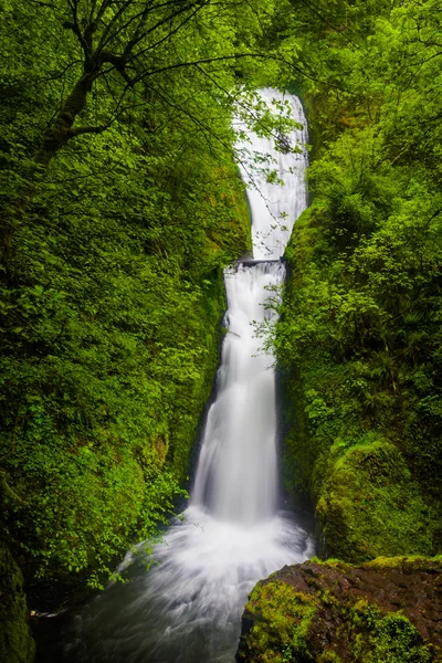 Cascate del velo nuziale, nella gola del fiume Columbia, Oregon . — Foto Stock