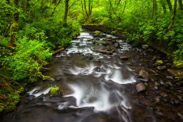 Cascatas em Bridal Veil Creek no desfiladeiro do rio Columbia, Orego — Fotografia de Stock