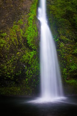 At kuyruğu Falls, Columbia River Gorge, Oregon.