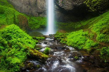 Latourell Falls, adlı adam W. Talbot State Park, Columbia RI