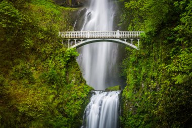 Multnomah Falls ve köprü, Columbia River Gorge, Oregon.