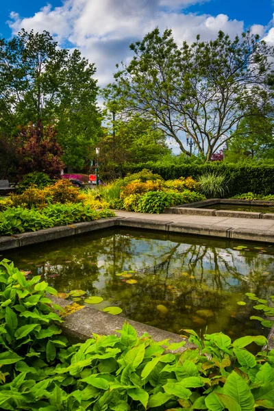 Сады в парке South Waterfront Park в Портленде, Орегон . — стоковое фото