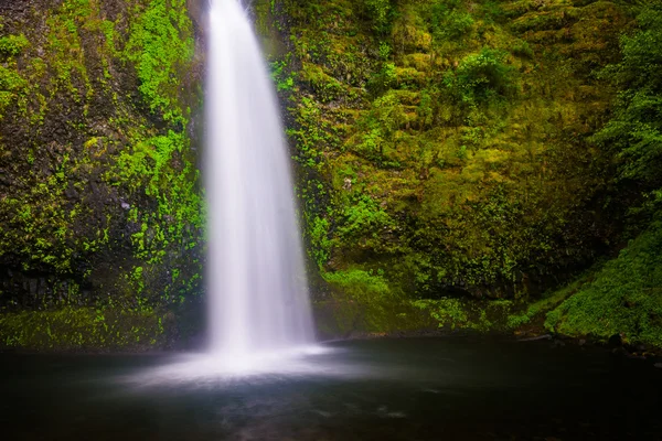 Cascate dell'Equiseto, nella gola del fiume Columbia, Oregon . — Foto Stock