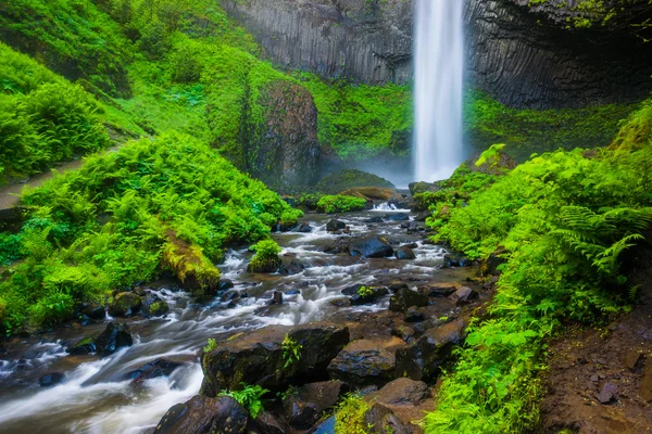 Latourell Falls, en Guy W. Talbot State Park, en la Columbia Ri — Foto de Stock