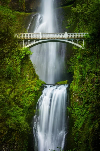 Multnomah Falls en bridge, in de Columbia River Gorge, Oregon. — Stockfoto