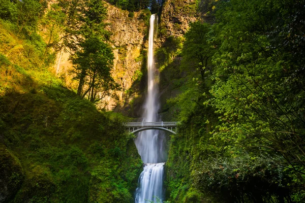 Multnomah Falls y puente, en el desfiladero del río Columbia, Oregon . — Foto de Stock
