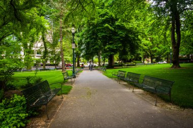 Portland, Oregon şehir merkezindeki bir parkta bir yürüyüş boyunca banklar.