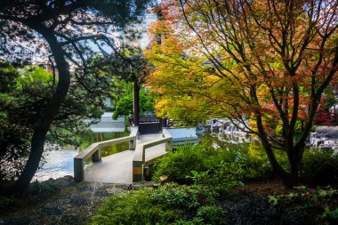 renkli ağaçlar ve bahçeler portl lan su Çin Garden