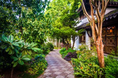 Lan Su Çin Garden Portland bir geçit boyunca bahçeleri
