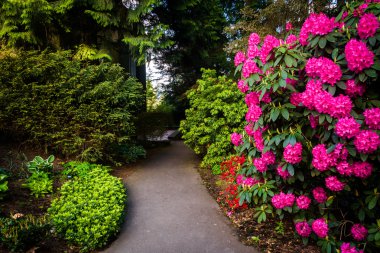 Bir geçit Pittock Mansion, Portland dışında boyunca bahçeleri