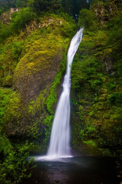 At kuyruğu Falls, Columbia River Gorge, Oregon.